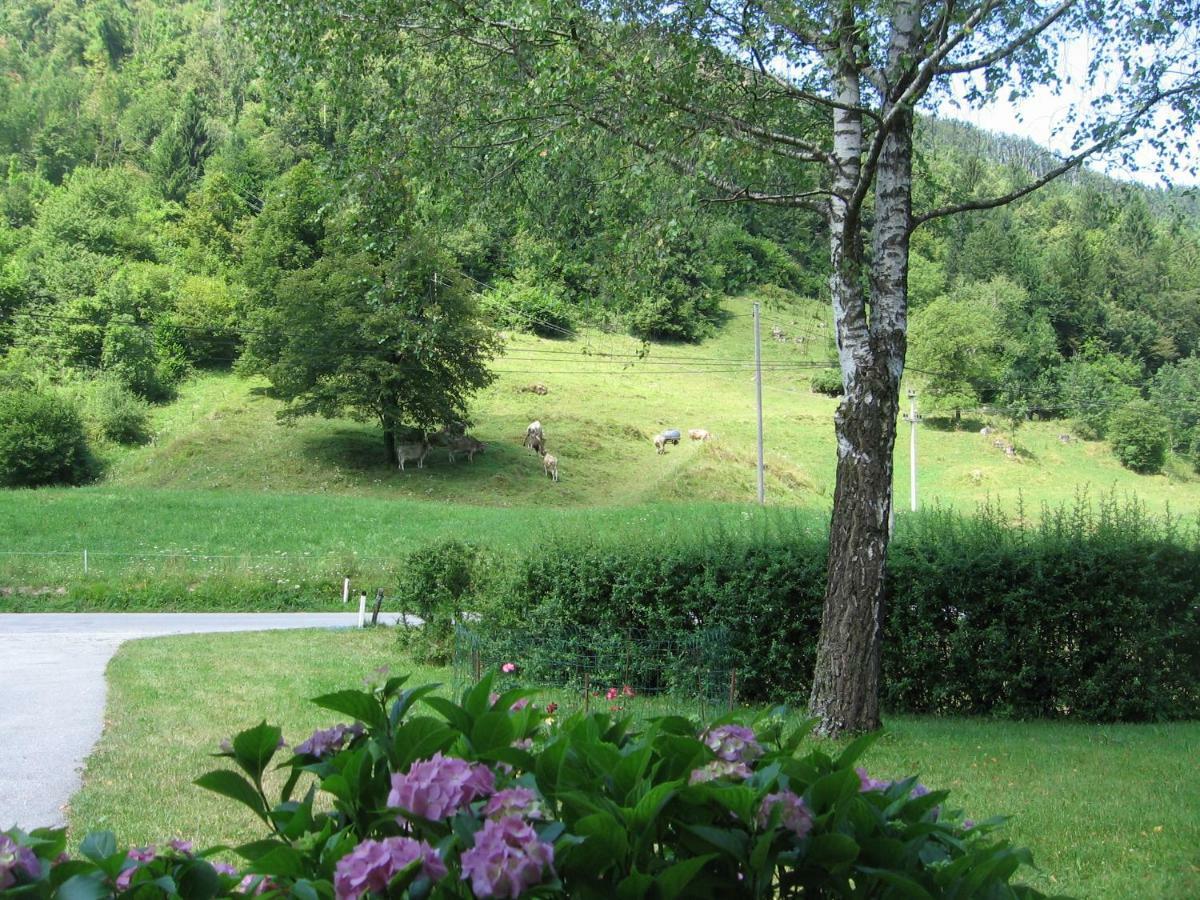 Vrata Pri Cepovanu Vila Exterior foto