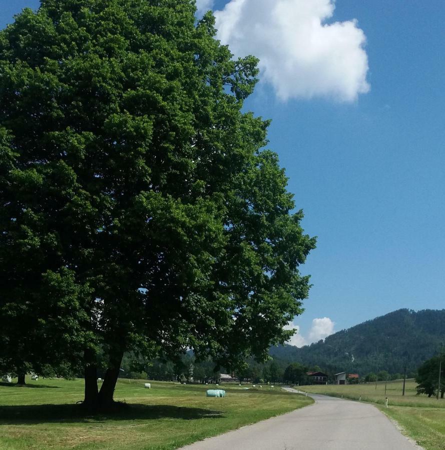 Vrata Pri Cepovanu Vila Exterior foto