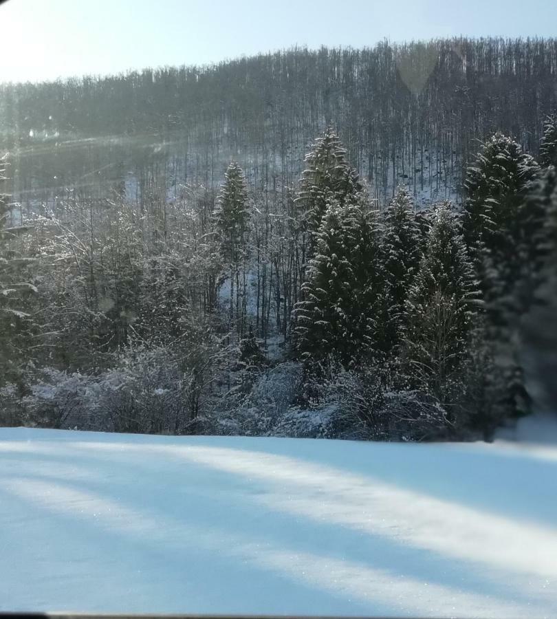 Vrata Pri Cepovanu Vila Exterior foto