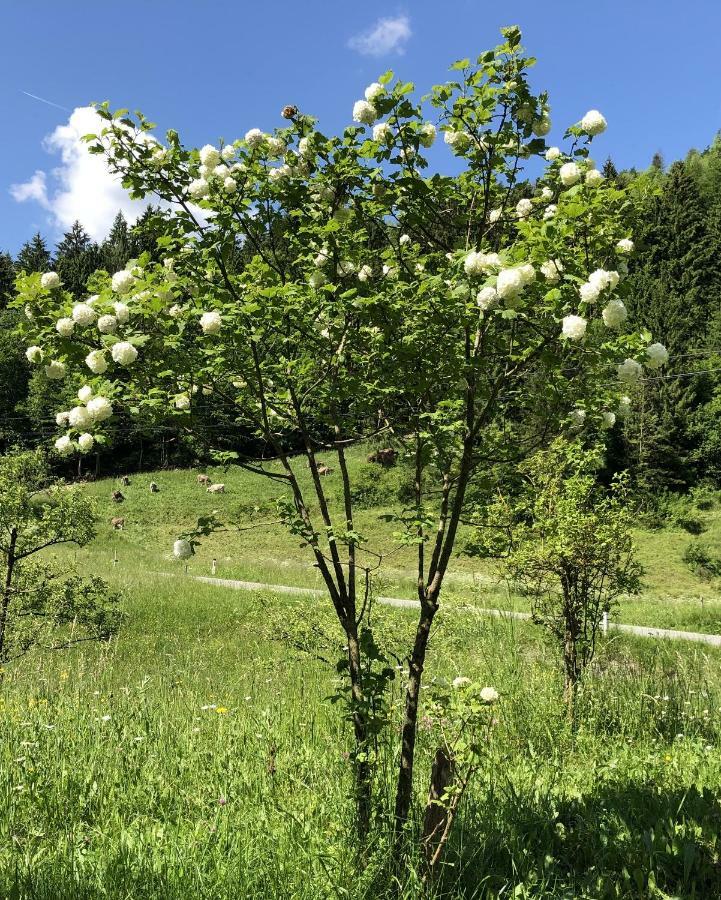 Vrata Pri Cepovanu Vila Exterior foto